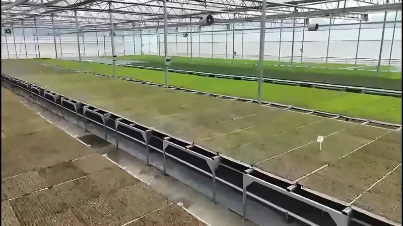 Bakan Yumaklı'dan Müjde: Bafra ve Çaycuma'da Tarım Devrimi Başladı!