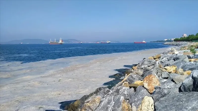 Marmara Alarm Veriyor! Bakanlık Devreye Girdi, Rekor Ceza Kesildi!