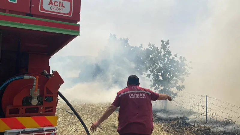 Çanakkale'de Orman Yangını Paniği! Alevler Kontrol Altında mı?
