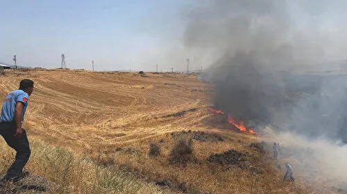 Gaziantep'te anız yangını: 300 dönüm alanda etkili oldu