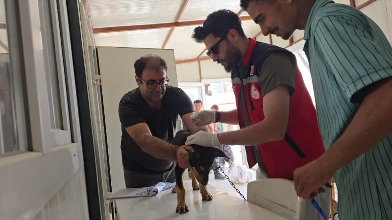 Hatay'da 4 mahalle kuduz nedeniyle karantinaya alındı