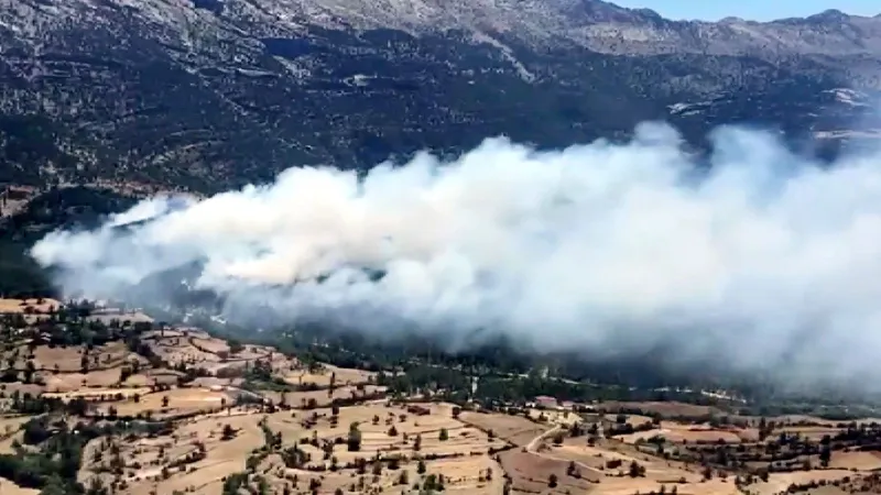 Isparta'da orman yangını