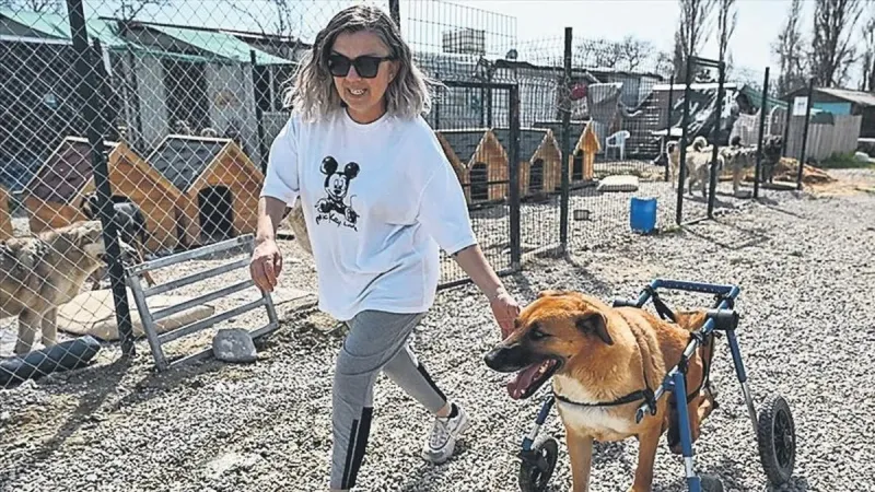 Mama bağışı kişisel servet oldu