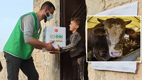 İHH Kurban Fiyatlarını Açıkladı! Bu Fiyata Kurban Kesilir Mi?