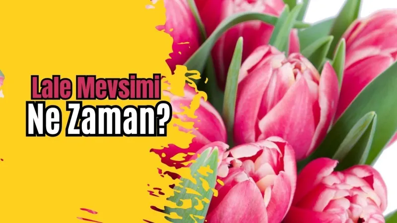 Lale Mevsimi Ne Zaman? Evde Lale Yetiştirme Rehberi!