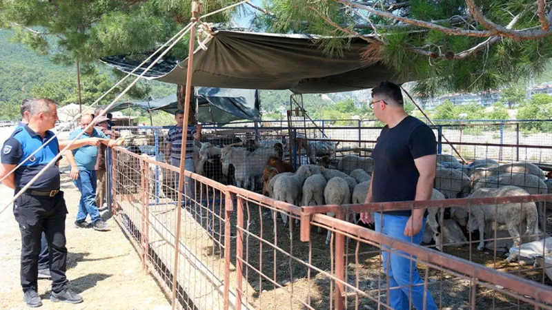 Sokakta kurban kesene ceza yağacak
