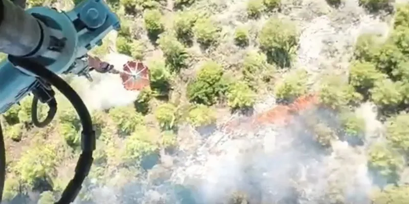 Soma'da Korkutan Yangın! Ormanlar Alevlere Teslim Mi Oldu?