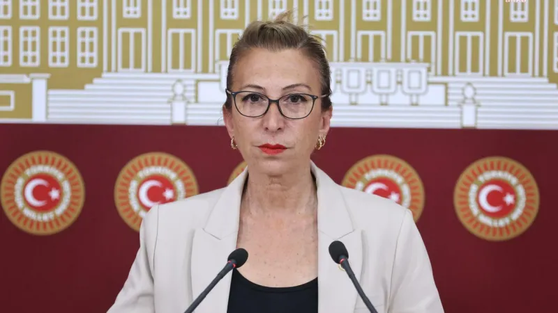 Zeytinlikler Tehlikede mi? CHP'den Sert Tepki!