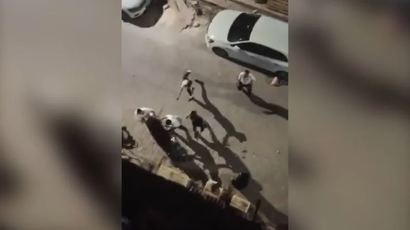 Suriyeli iki grubun taş, pala ve tabancalı kavgasını vatandaşlar ayırdı