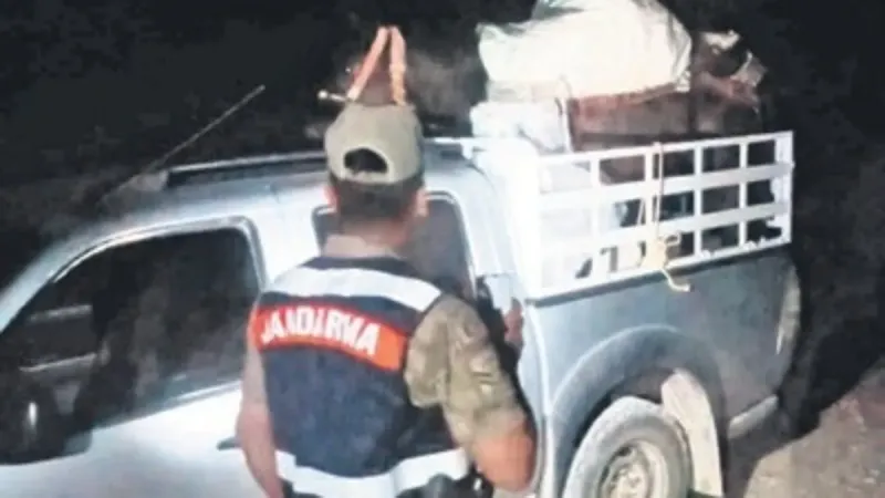 Tunceli'de dağ sarımsağı operasyonu! 557 bin lira ceza