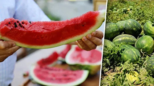 Karpuz Zehirlenmesi Alarmı! Uzmanlardan Şok Uyarı