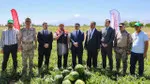 Iğdır Karpuz Hasadı Başladı! Vali ve Başsavcı Tarlada!