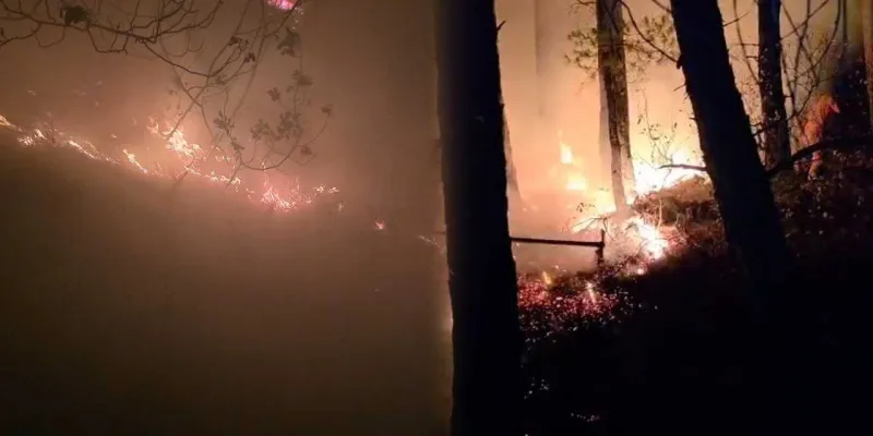 Yıldırım Felaketi! Hatay'da Orman Yangını Kontrol Altında Mı?